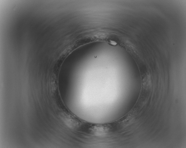 X0000062600464200512281403