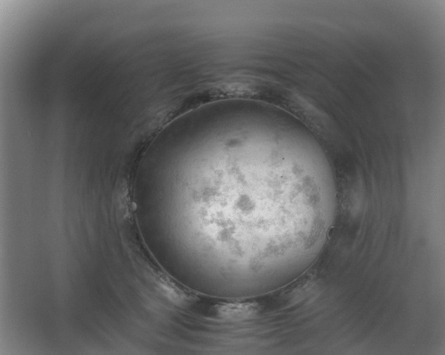 X0000062600465200512281403