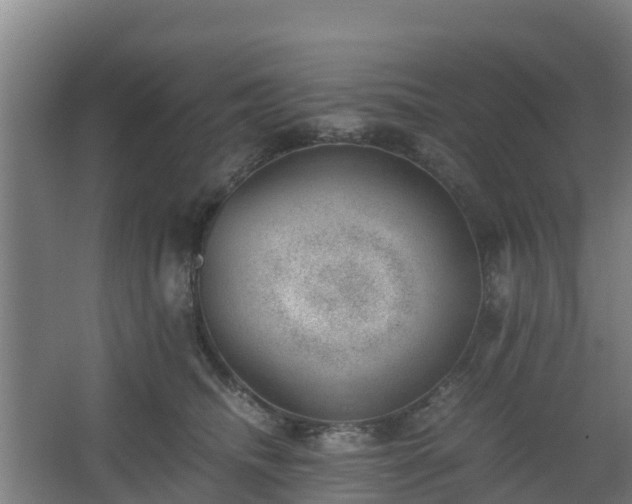 X0000062600468200512281403