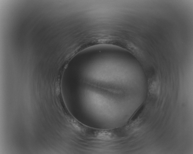 X0000062600471200512281403