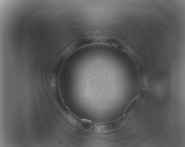 X0000062600472200512281403