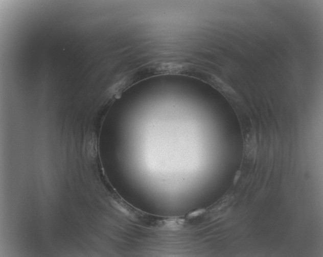 X0000062600474200512281403