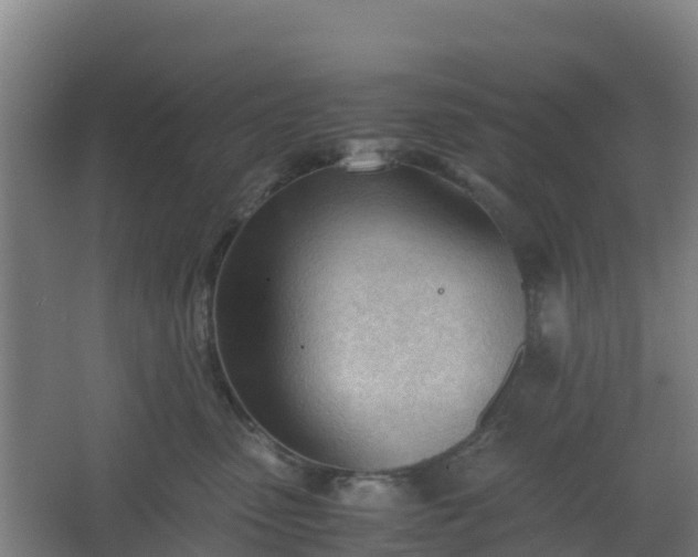 X0000062600475200512281403