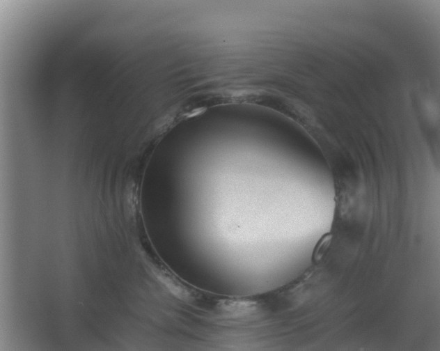 X0000062600476200512281403