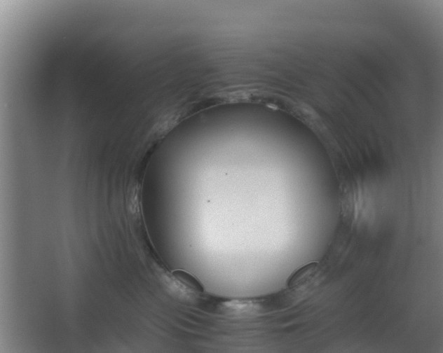 X0000062600477200512281403