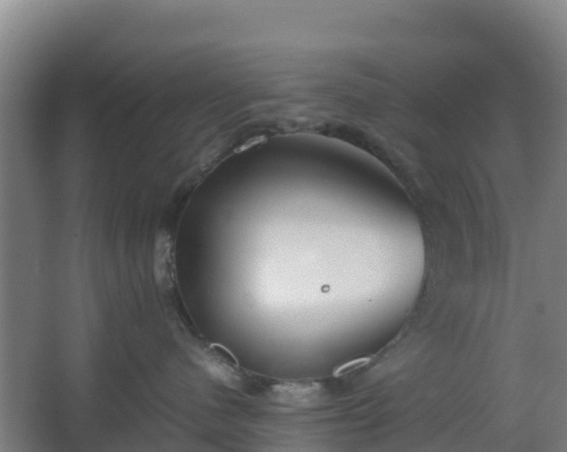 X0000062600480200512281403