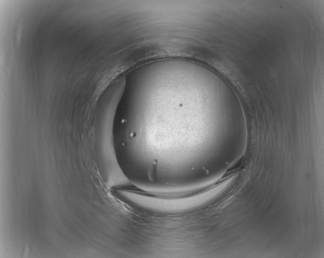 X0000062600481200512281402