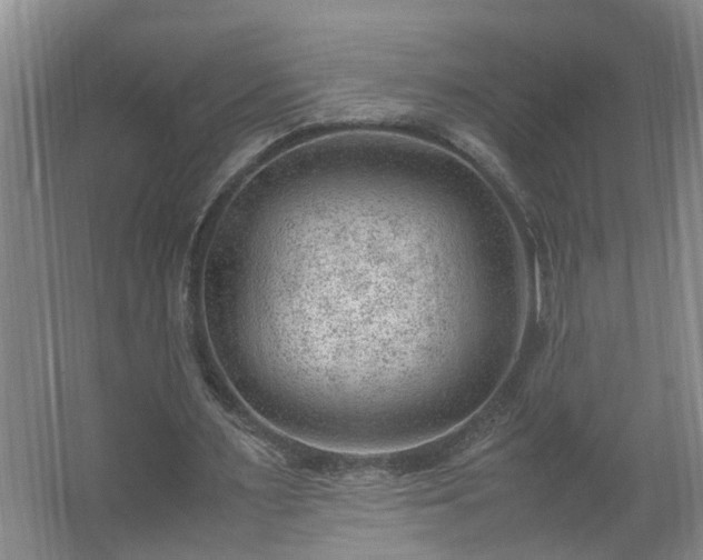 X0000062600483200512281402