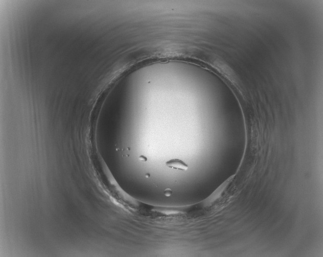 X0000062600485200512281402