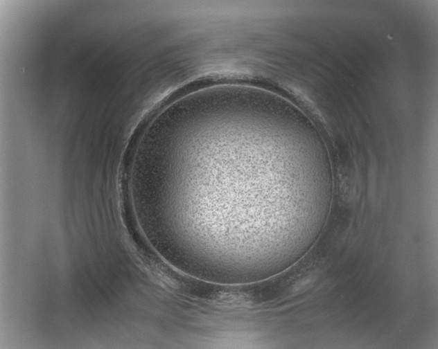 X0000062600487200512281402