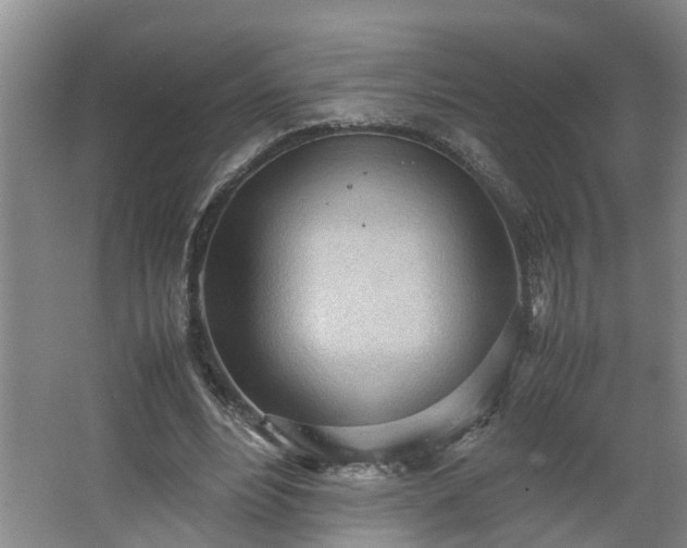 X0000062600488200512281402