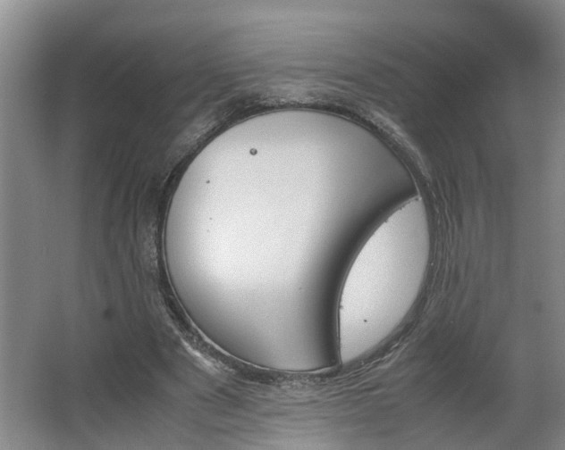 X0000062600489200512281402