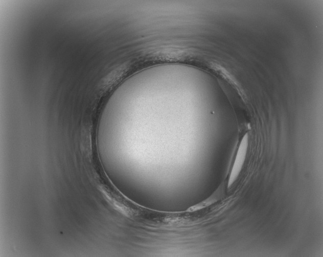 X0000062600493200512281402