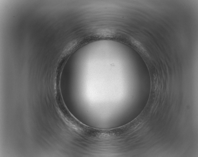 X0000062600494200512281402