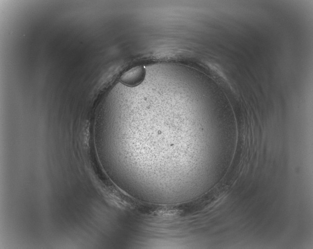 X0000062600495200512281402