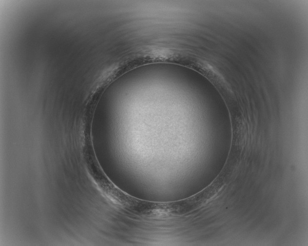 X0000062600496200512281402