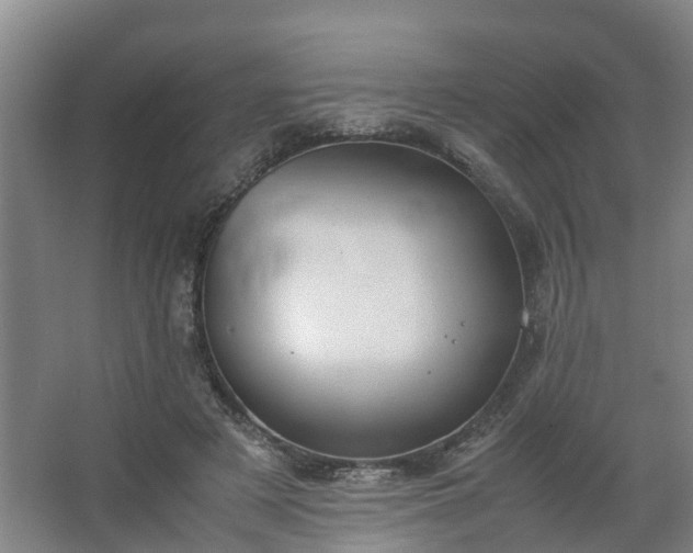 X0000062600497200512281402