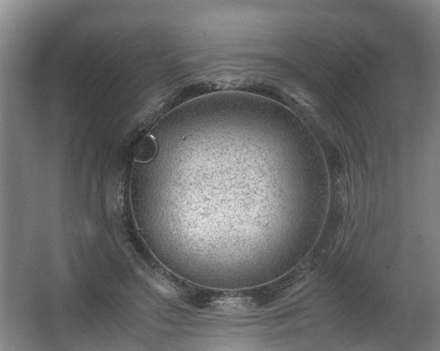 X0000062600499200512281402