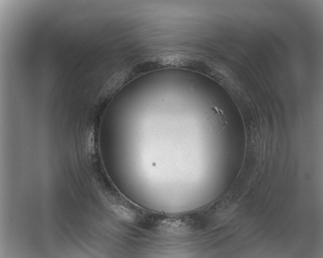 X0000062600502200512281402