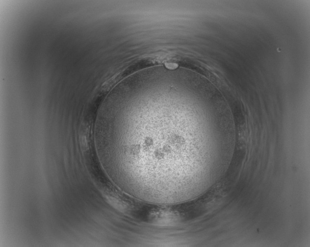 X0000062600503200512281402