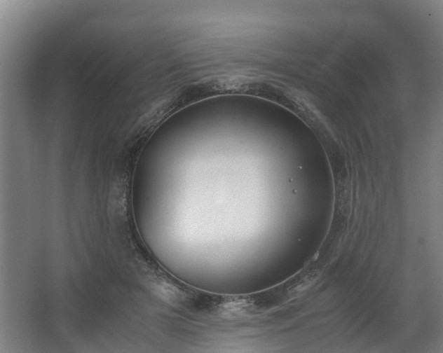 X0000062600505200512281402