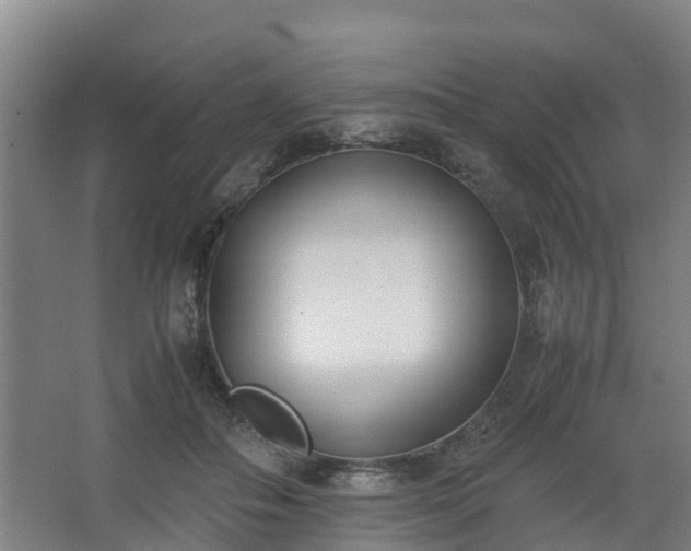 X0000062600506200512281402