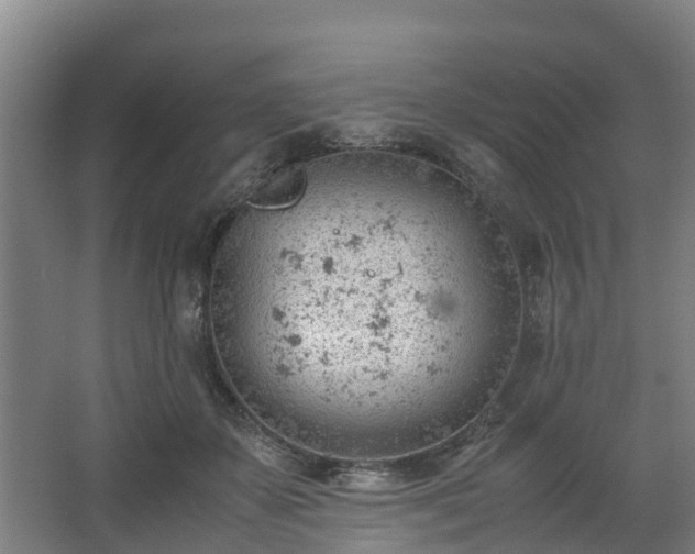 X0000062600507200512281402