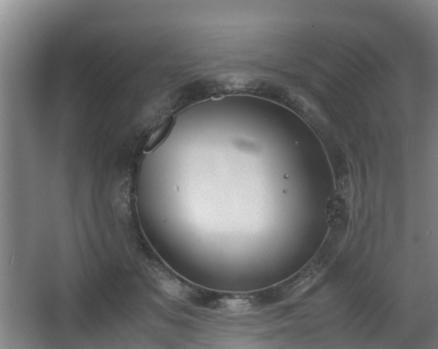 X0000062600509200512281402