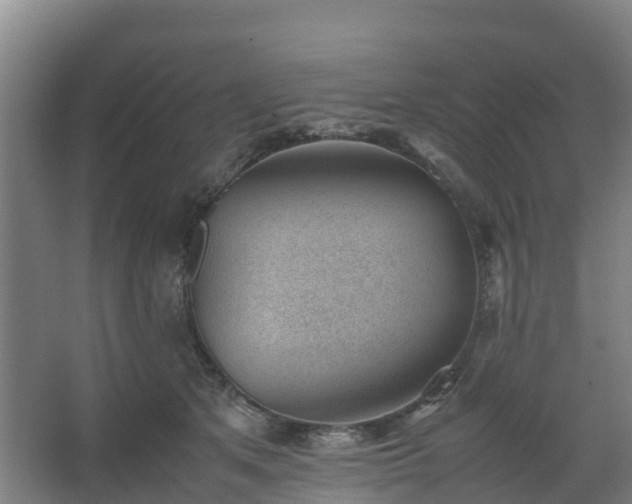 X0000062600513200512281402