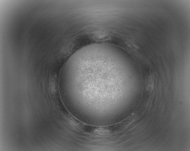 X0000062600515200512281402