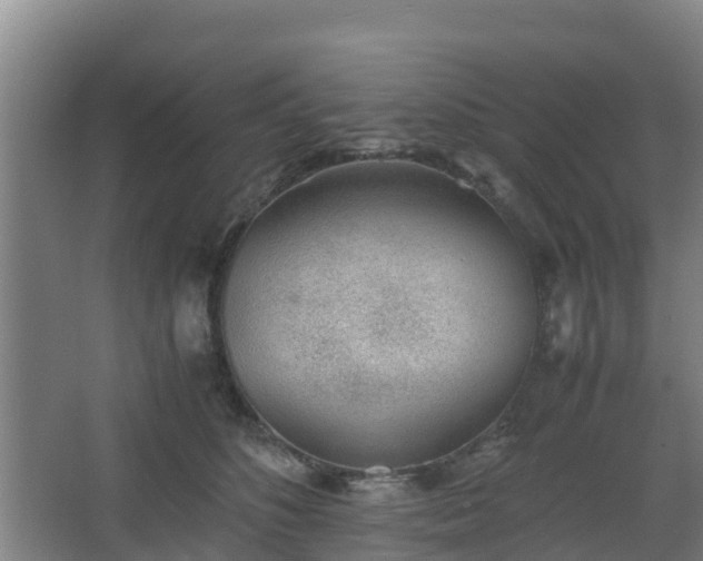 X0000062600516200512281402