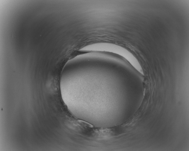 X0000062600517200512281402