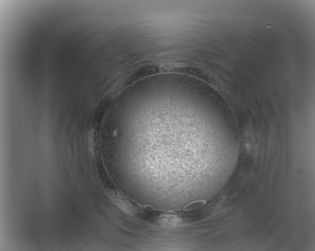 X0000062600519200512281402