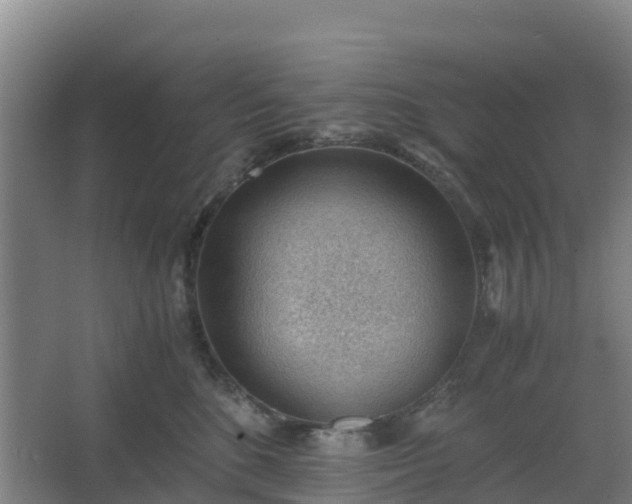 X0000062600520200512281402