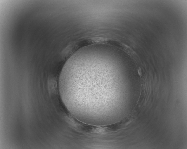 X0000062600523200512281401