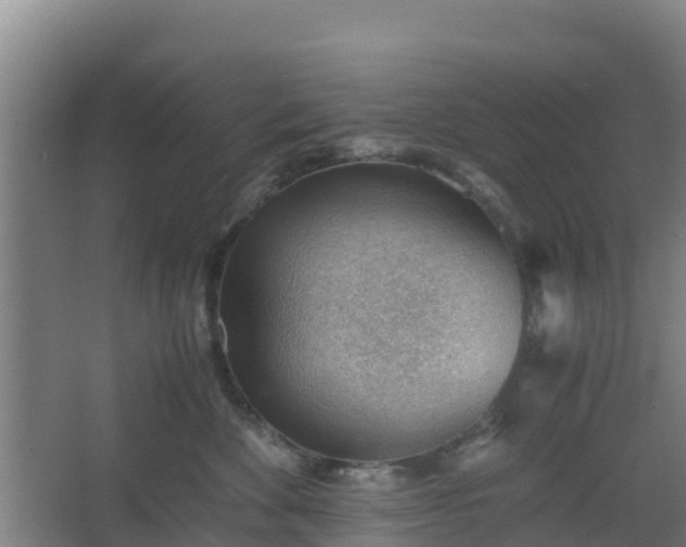 X0000062600524200512281401