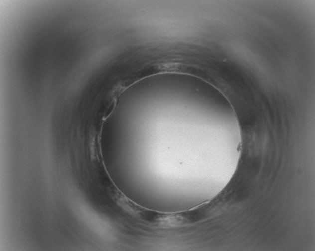 X0000062600525200512281401