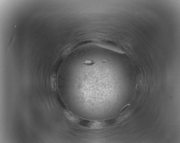 X0000062600527200512281401