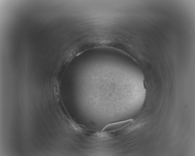 X0000062600528200512281401