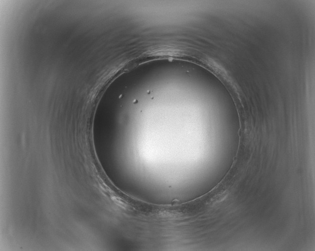 X0000062600529200512281401