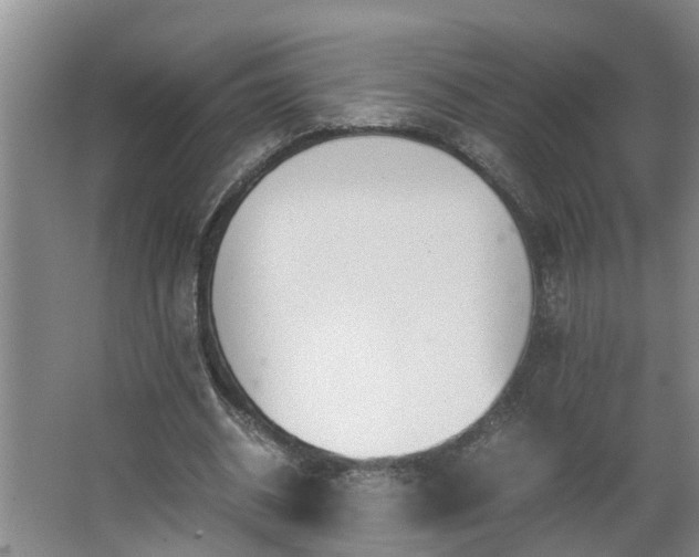 X0000062600534200512281401