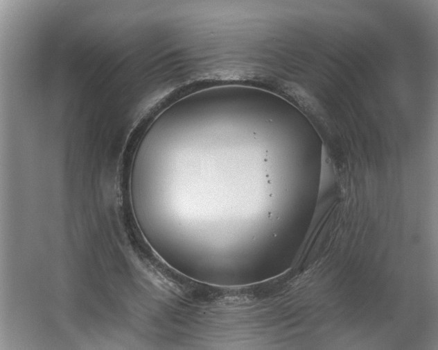 X0000062600536200512281401