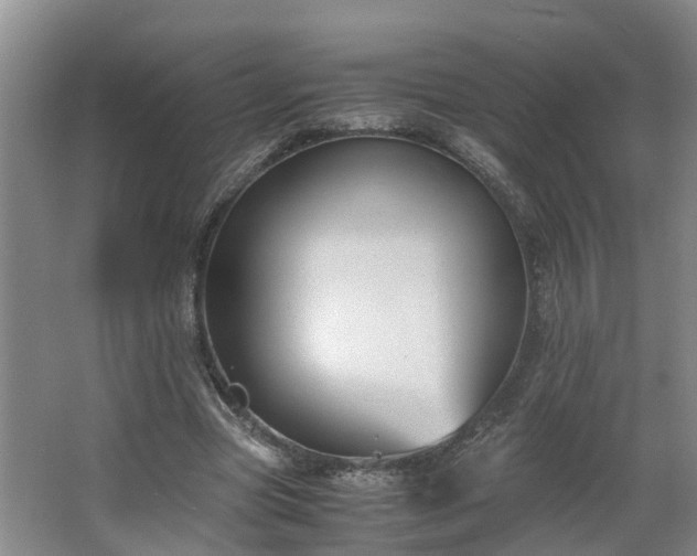 X0000062600537200512281401