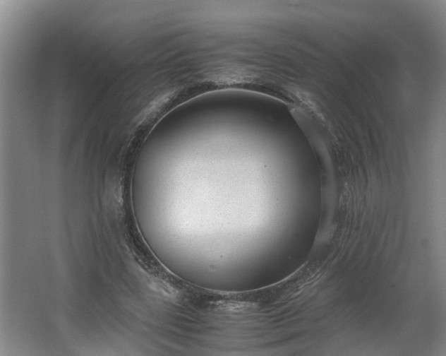 X0000062600539200512281401