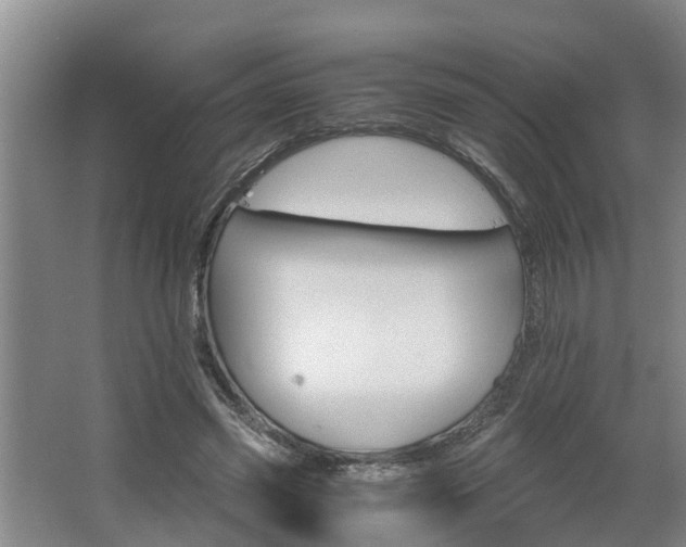 X0000062600541200512281401