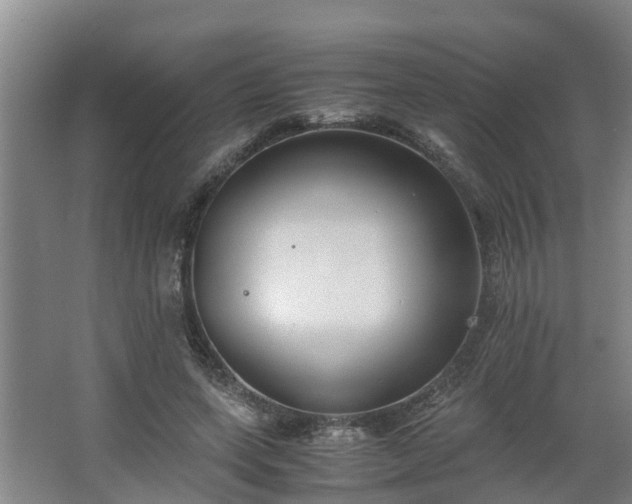 X0000062600543200512281401