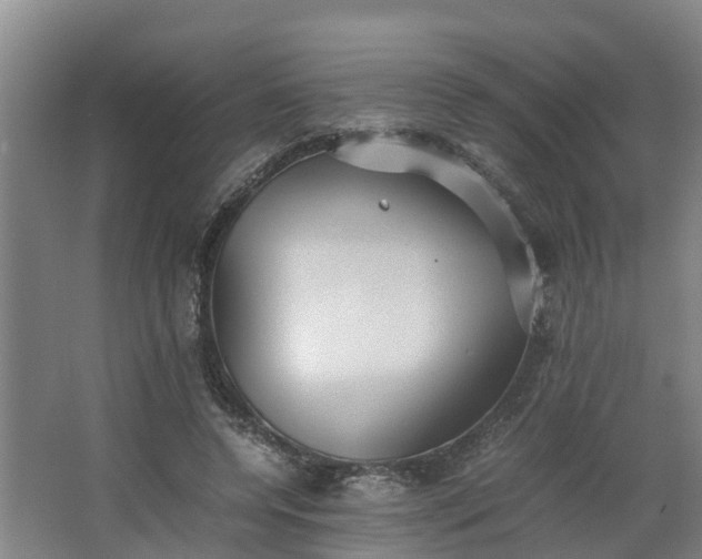 X0000062600544200512281401