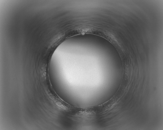 X0000062600545200512281401