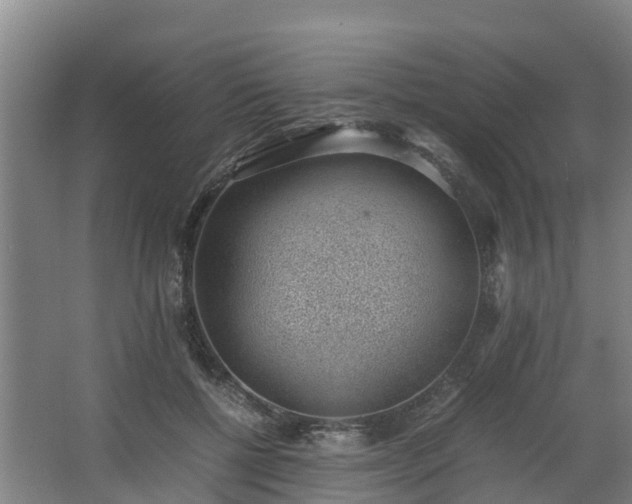 X0000062600552200512281401