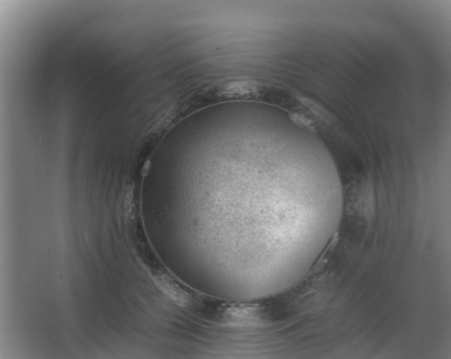 X0000062600560200512281401